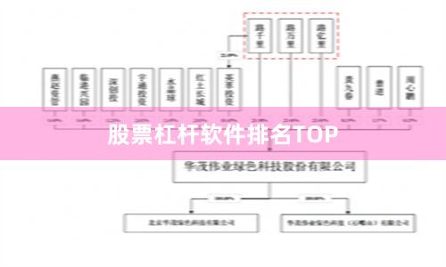 股票杠杆软件排名TOP